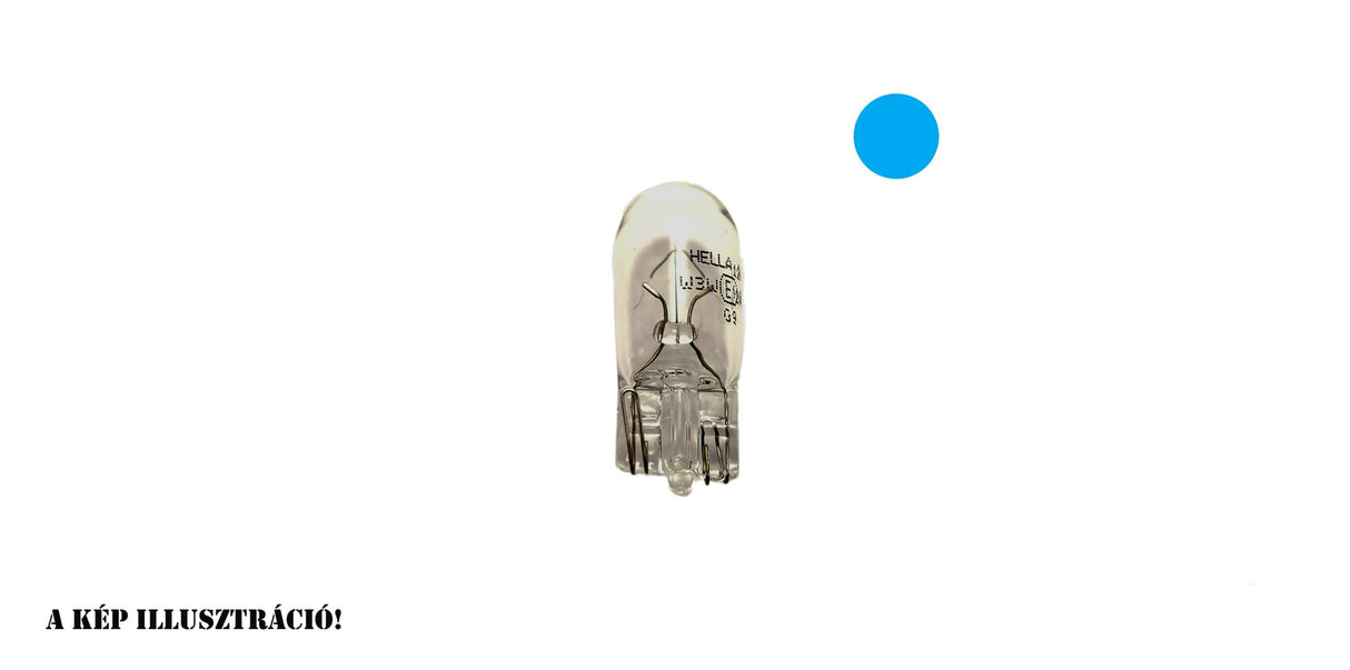 Bosma 24V Glass T10 Bulb